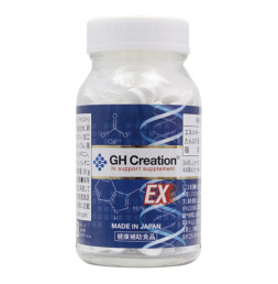 GH크리에이션 EX 270정