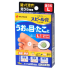 스삐루 반창고 원터치 EX SPA L사이즈 (12장)