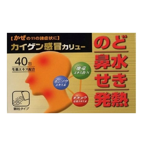 카이겐 감기약 40포