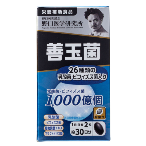 노구치연구소 선옥균 60정